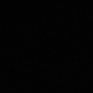 Meet your Posher, Traci